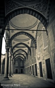 5 مراحل عقلية لتأكيد المنهجية