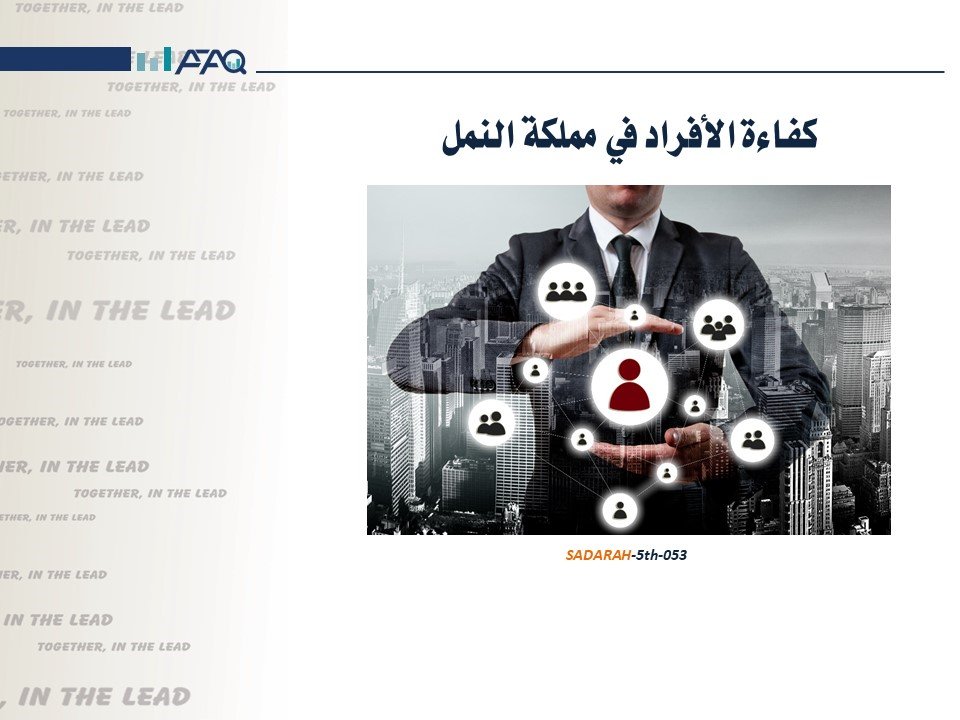 كفاءة الأفراد في مملكة النمل